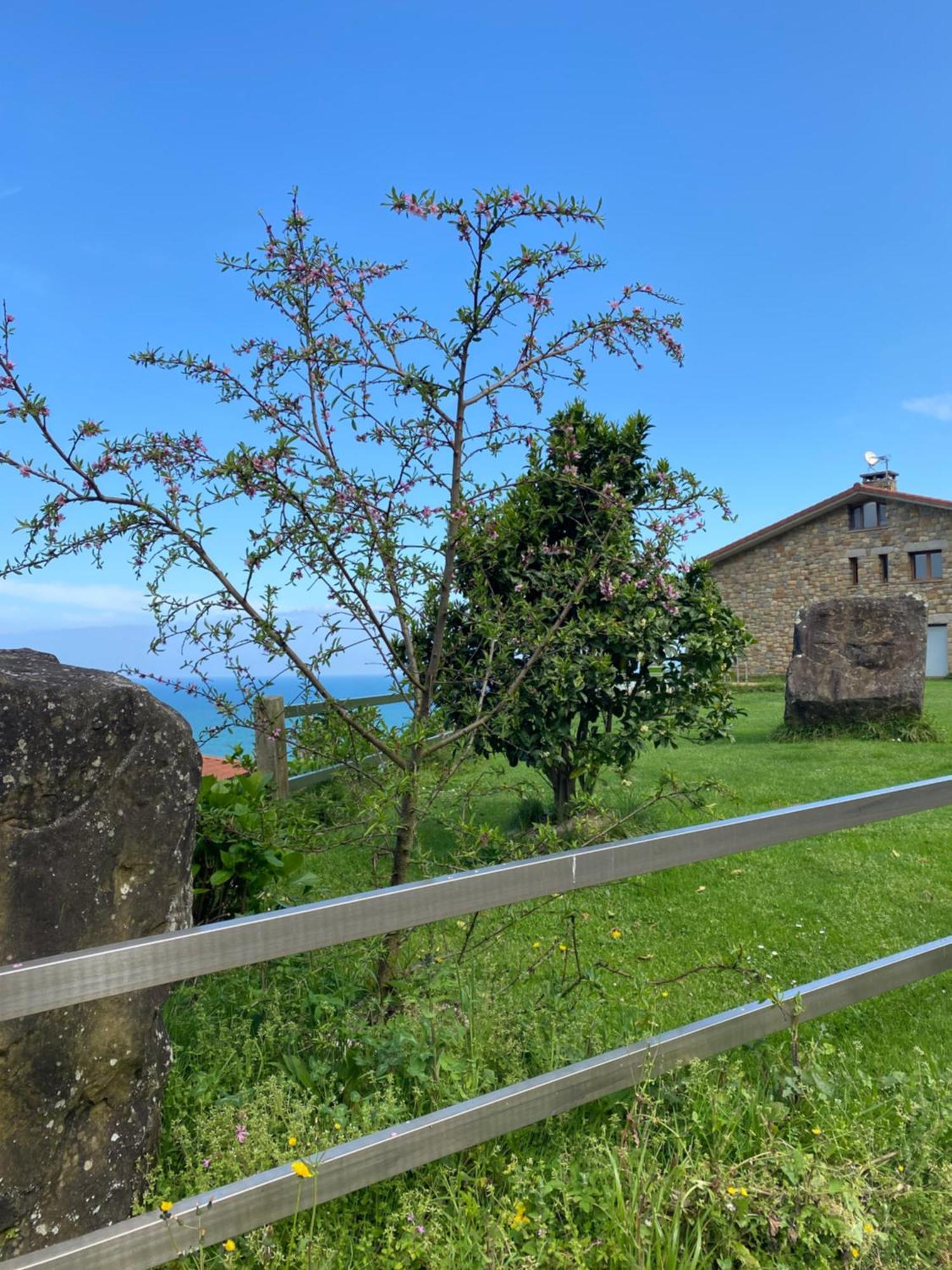 Agroturismo Itxaspe Orio Exterior foto